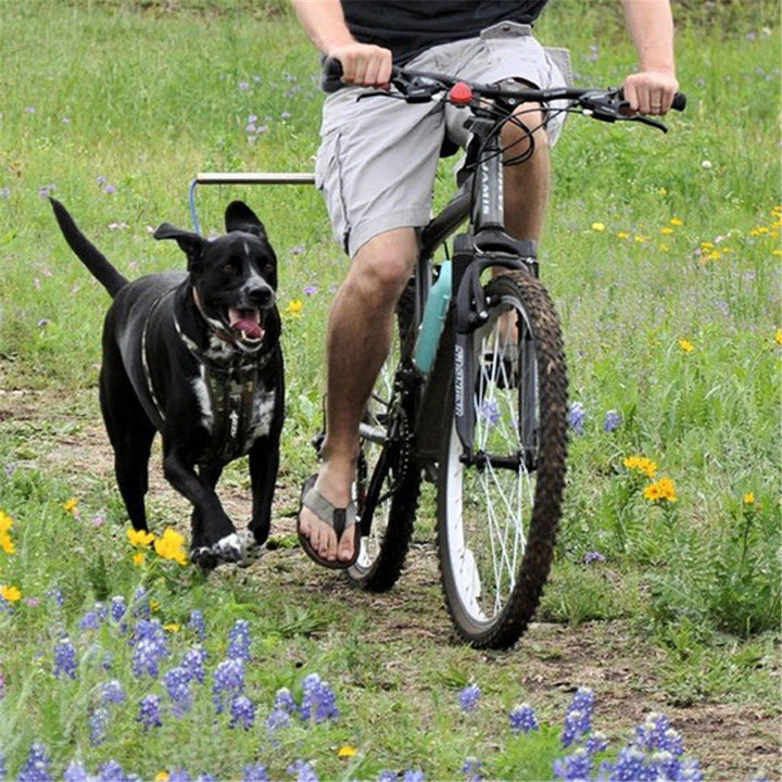 Enhance Your Pet's Outdoor Adventures with Our Bicycle Traction Pet Chain Detachable Walking Harness