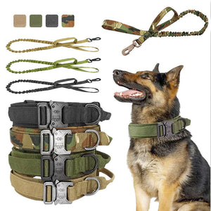 Tactical Nylon Adjustable Pet Collar And Leash Set: A Must-Have for Every Pet Owner
