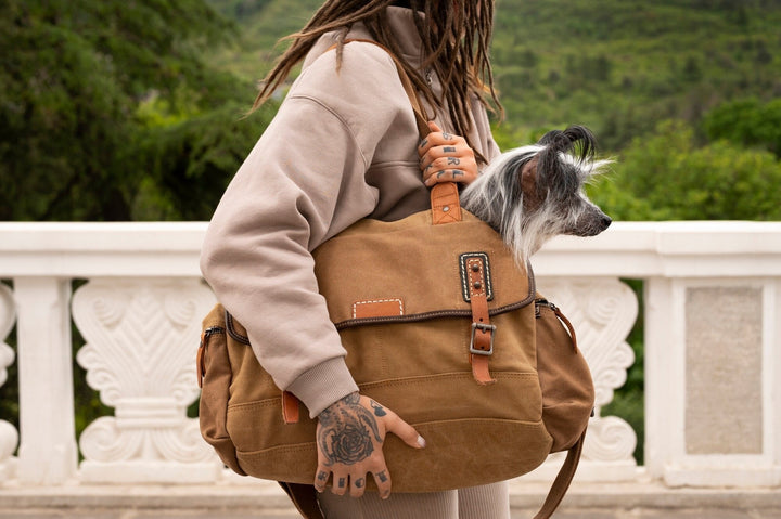 Secure and Comfortable Travel Pet Carrier Solutions