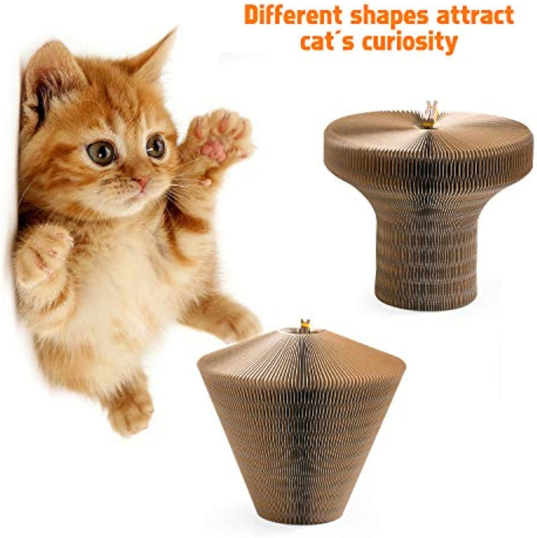 Collapsible Cardboard Scratcher Lounge Bed For Indoor Pets