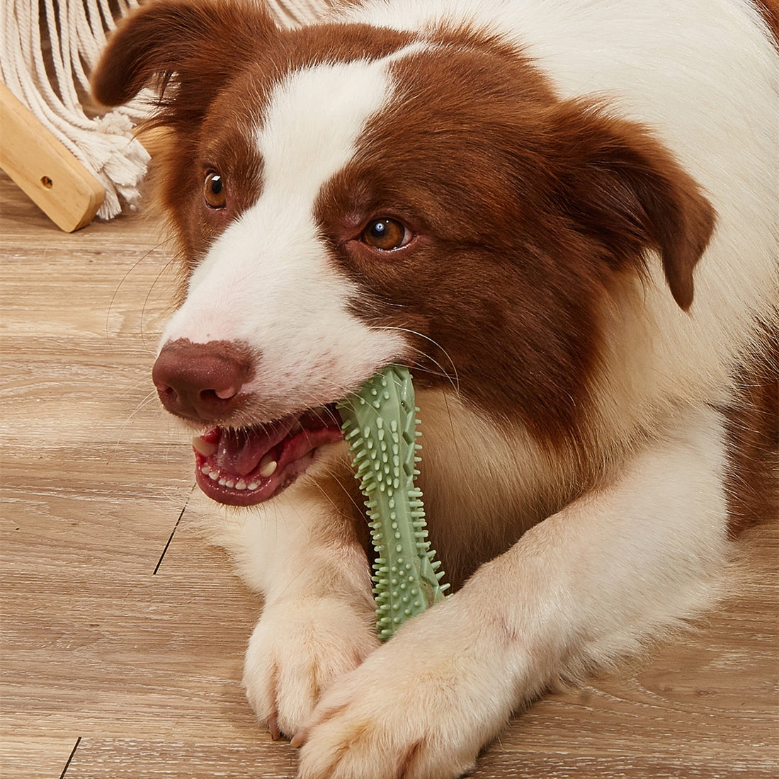 Dental Cleaning Chew Toy For Pets
