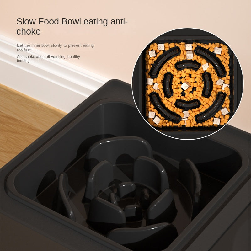 Adjustable Elevated Double Bowl With Stainless Steel Stand