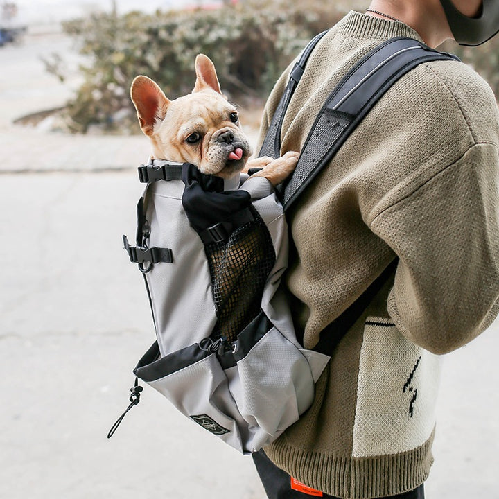 Pet Double Shoulder Travel Carrier Backpack For Pets