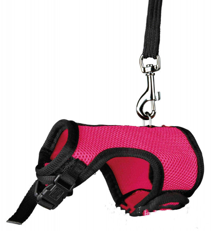 Small Pet Leash For Safe And Comfortable Walking