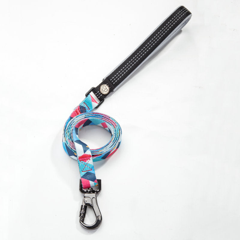 Pet Leash For Safe And Comfortable Walking Control
