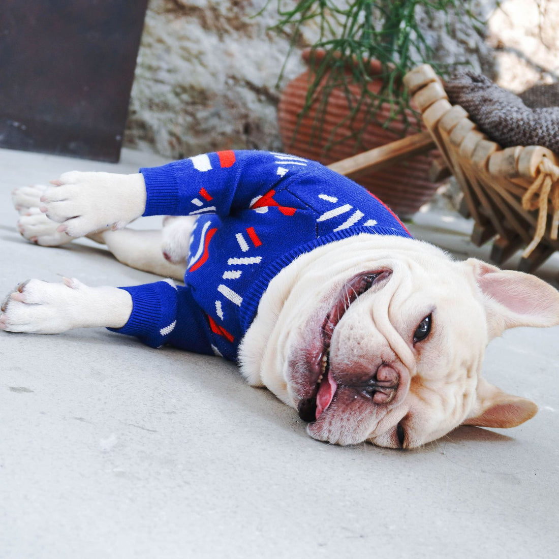 Pug Pet Sweater Clothing For Cozy Comfort Wear