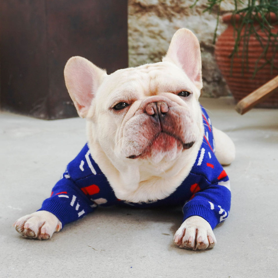 Pug Pet Sweater Clothing For Cozy Comfort Wear