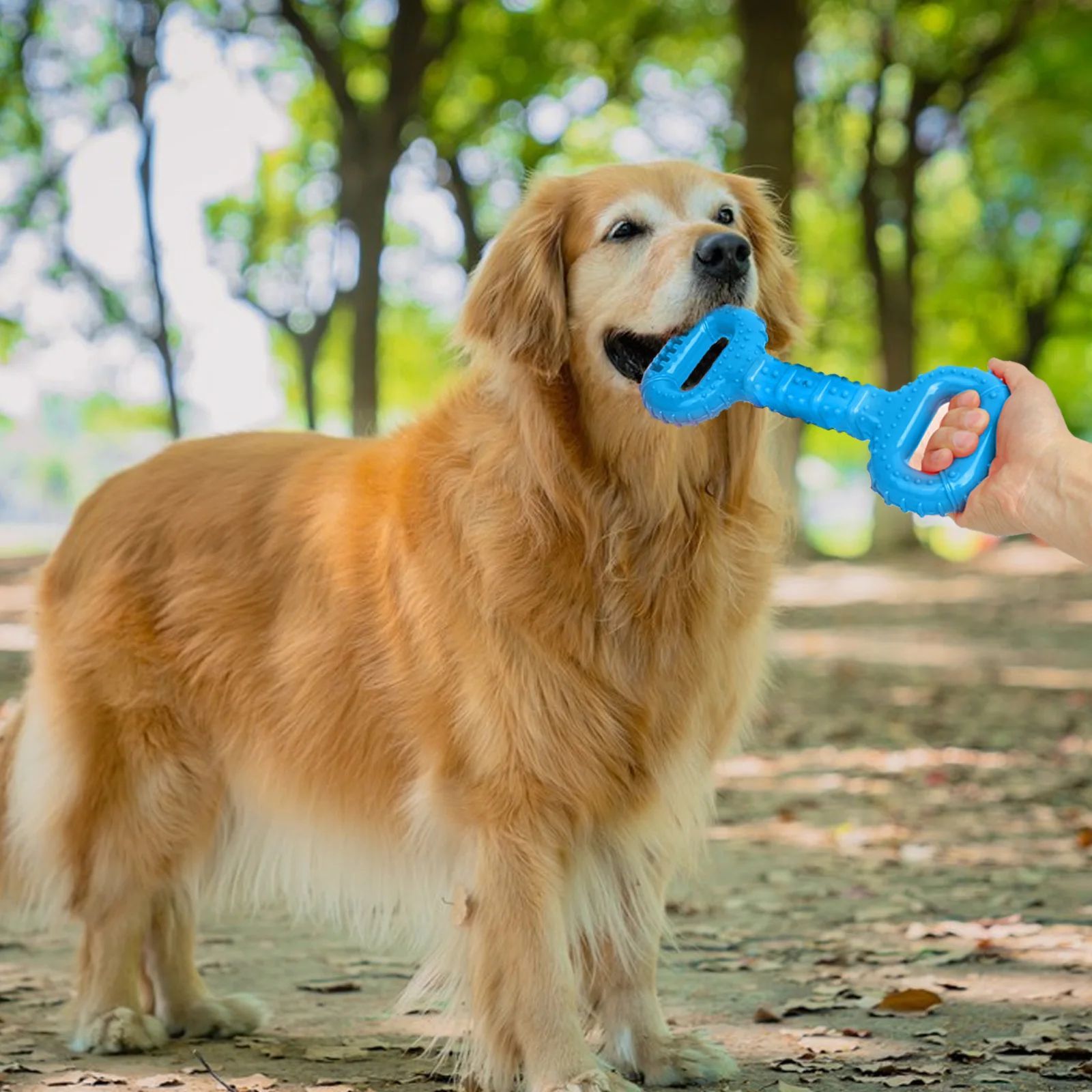 Durable Long Lasting Chew Bone Interactive Pet Teething Toy