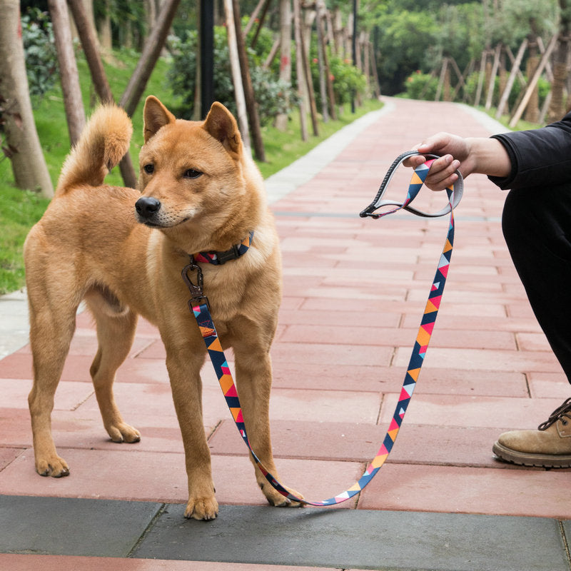 Pet Leash For Safe And Comfortable Walking Control