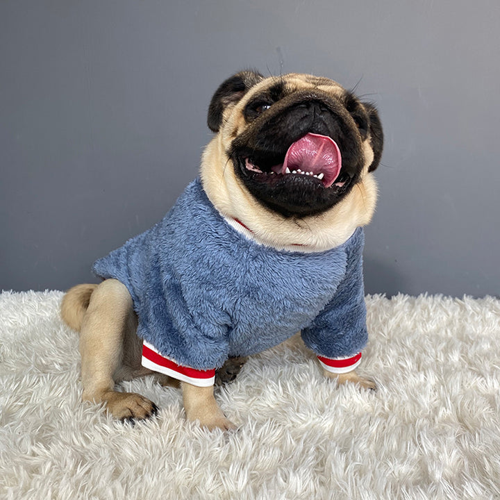 Warm Pet Sweater For Cozy Comfort And Cold Weather Wear