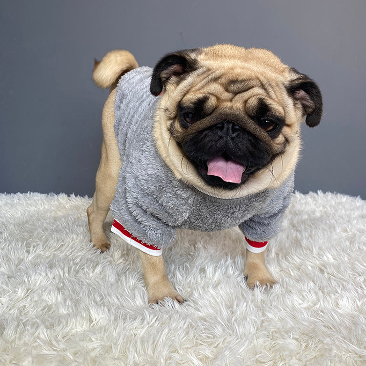 Warm Pet Sweater For Cozy Comfort And Cold Weather Wear