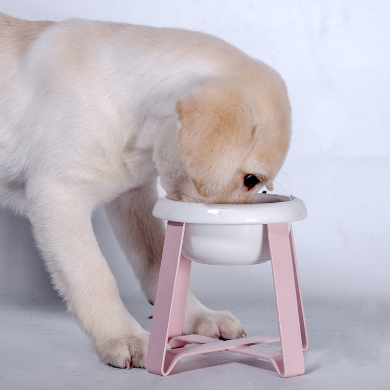 Creative Anti-Slip Pet Bowl With Iron Stand 2-In-1 Feeder