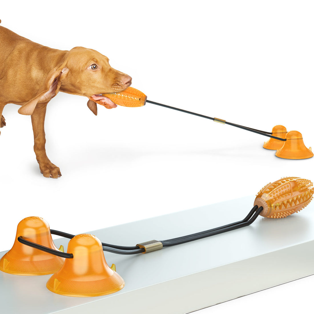 Pet Multifunction Tug Rope Ball Sucker Chew Toy