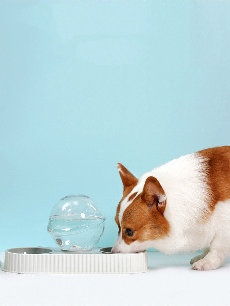 Automatic Pet Feeder And Water Bowl For Continuous Feeding And Hydration
