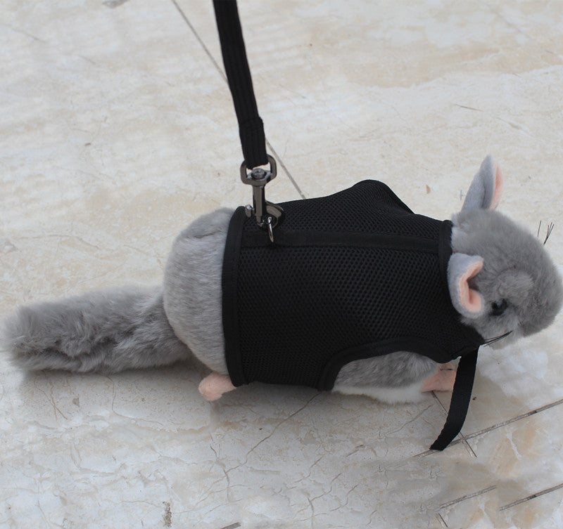 Small Pet Leash For Safe And Comfortable Walking