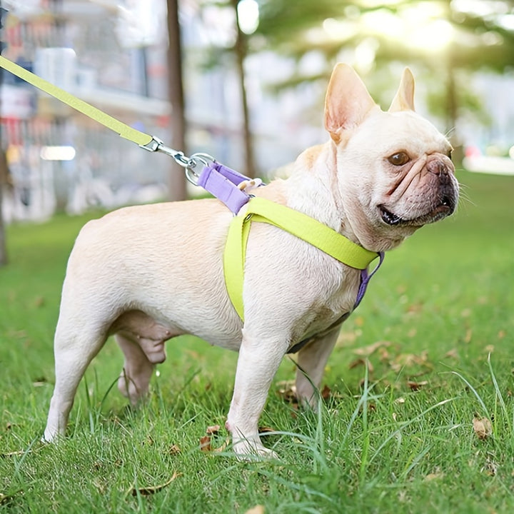 Rainbow Colorblock Pet Harness Set Anti Escape Vest Style Leash Set