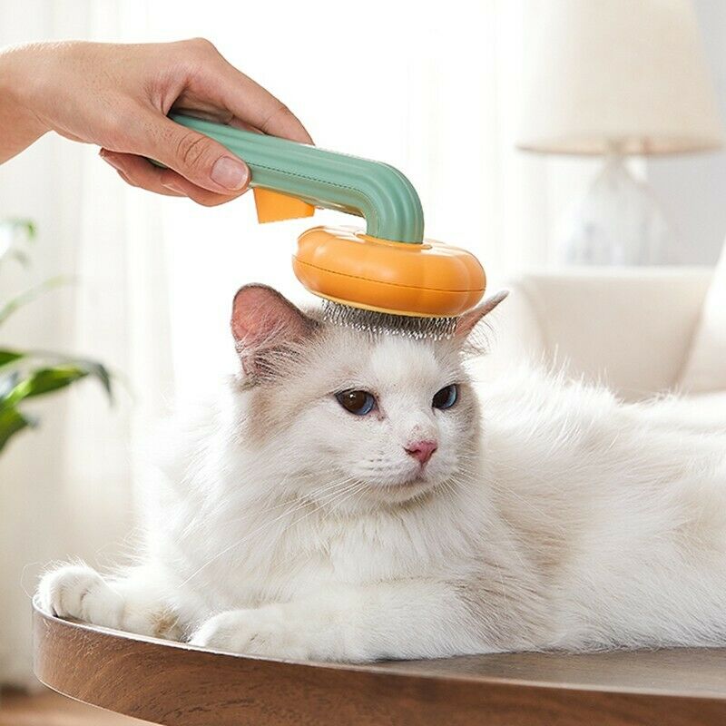 Self Cleaning Pet Grooming Brush For Gentle Detangling And Hair Removal
