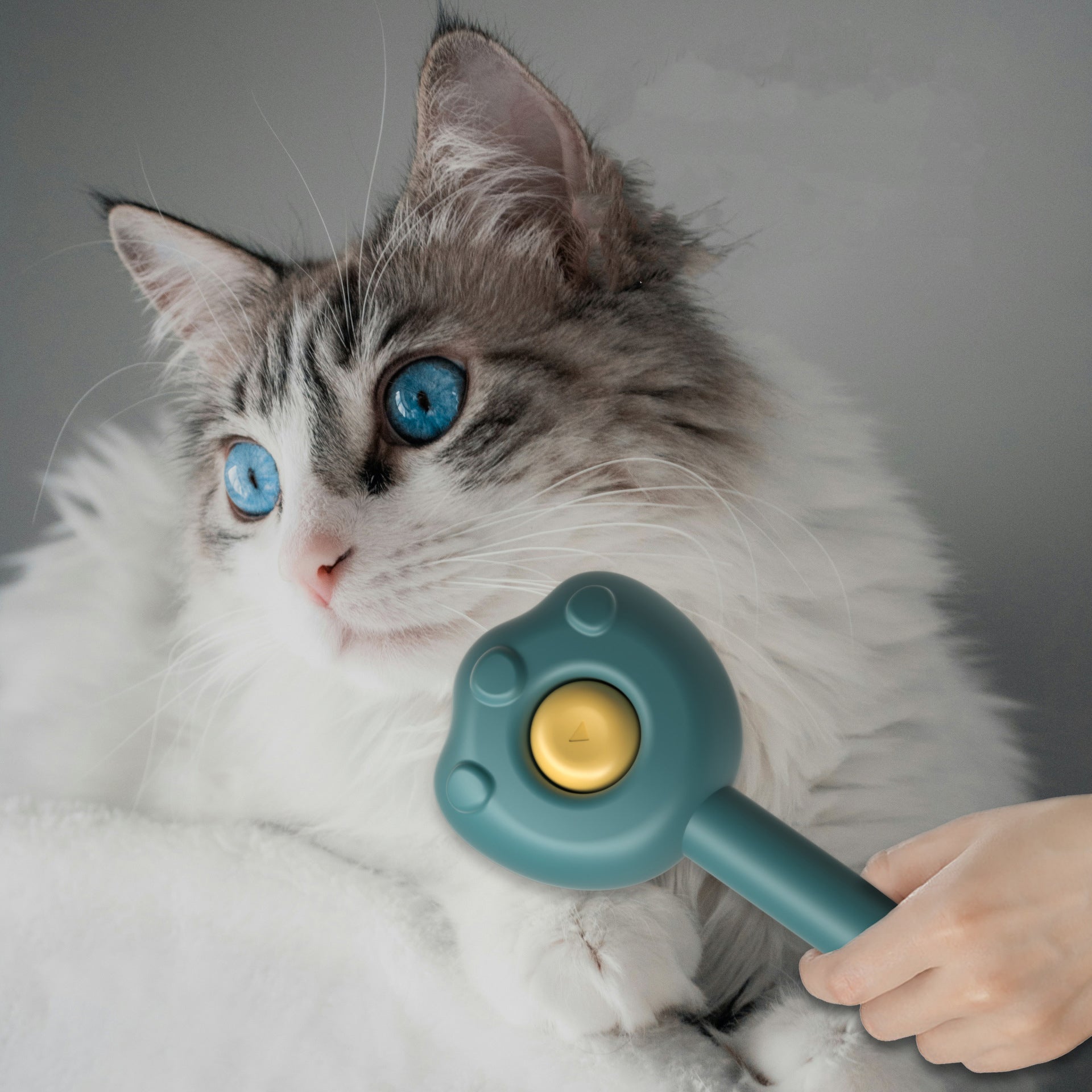 Pet Self Cleaning Grooming Brush With Needle Comb Handle