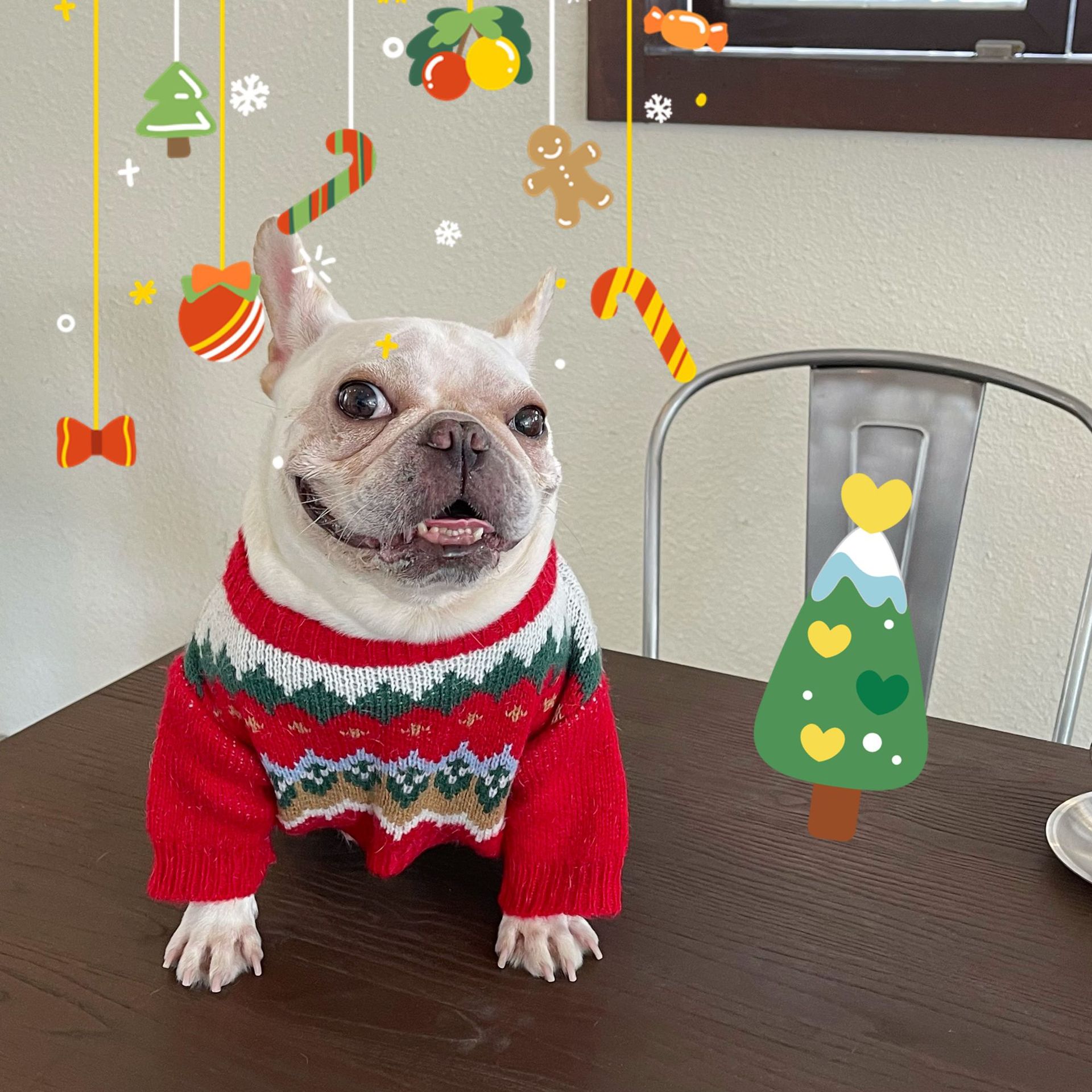 Pet Christmas Sweater Festive Winter Holiday Outfit Clothing