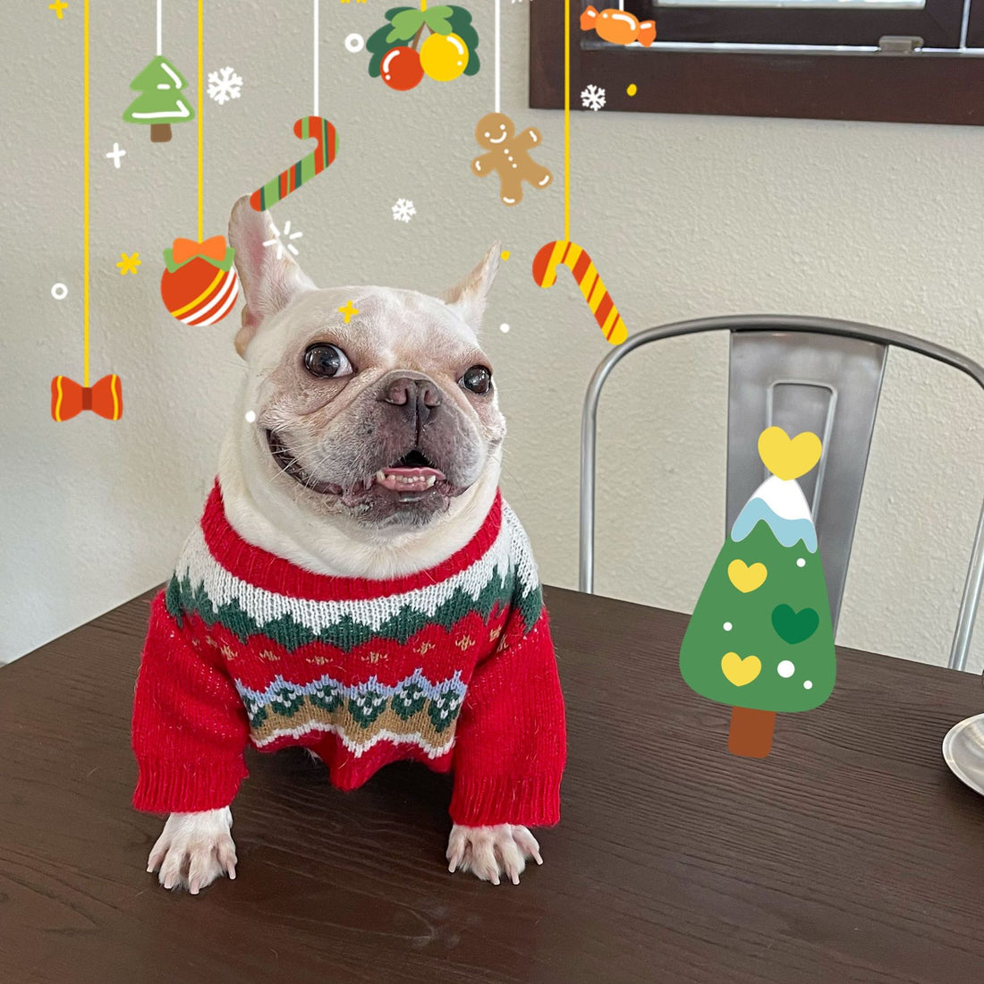 Pet Christmas Sweater Festive Winter Holiday Outfit Clothing