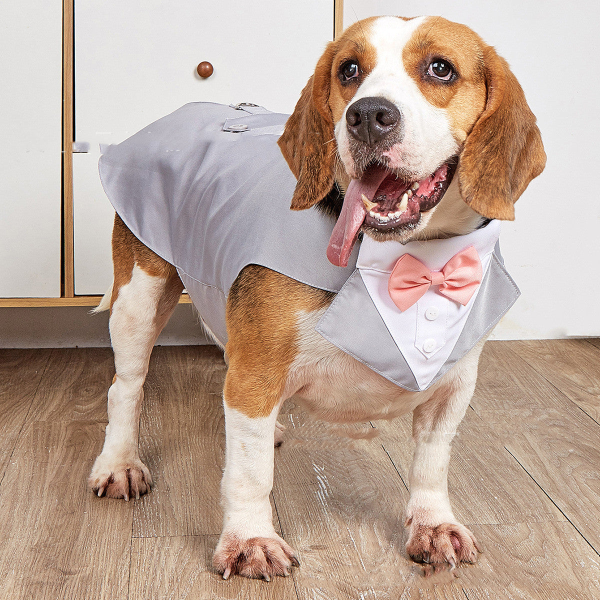 Formal Pet Wedding Suit Jacket Elegant Swallowtail Design