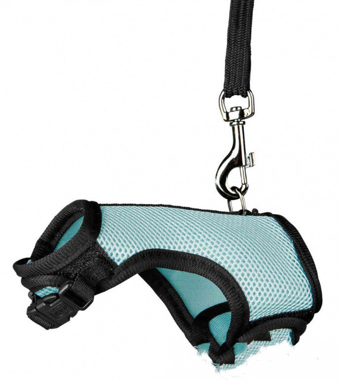 Small Pet Leash For Safe And Comfortable Walking