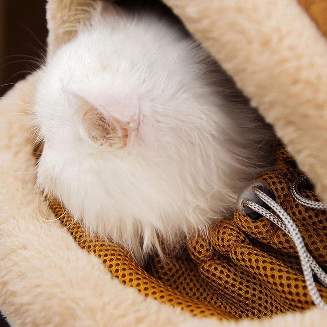 Plush Winter Pet Carrier Backpack With Hand Warmers