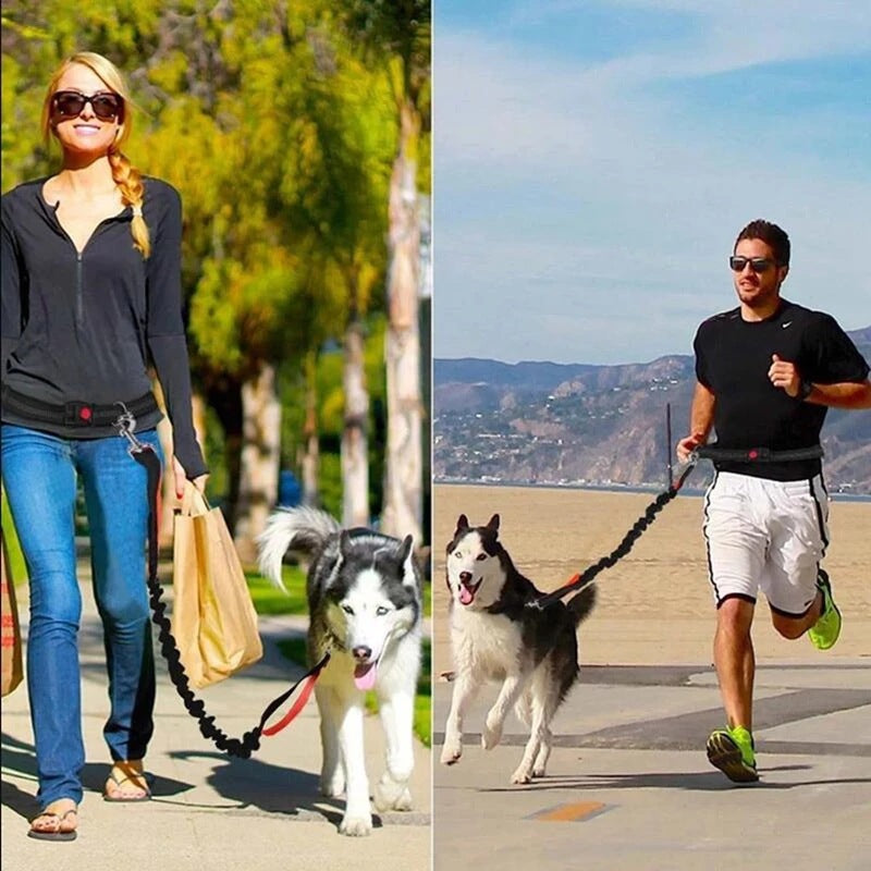 Adjustable Pet Harness And Collar With Jogging Leash