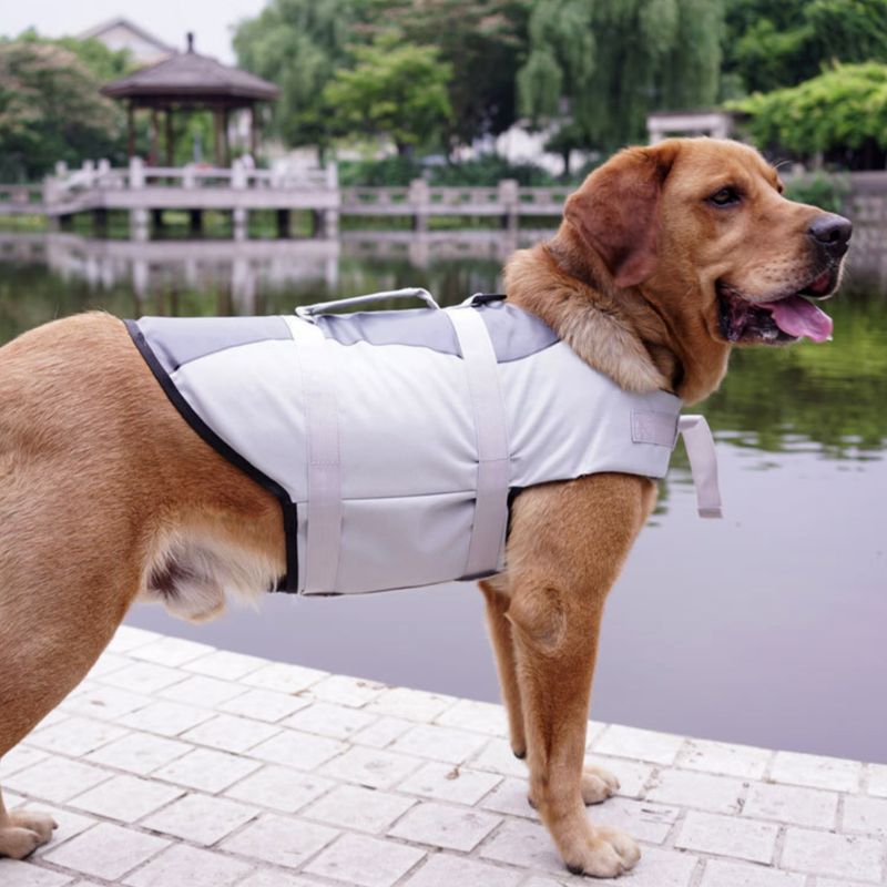 Pet Life Jacket Safety Vest For Water Activities