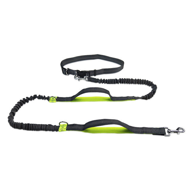 Adjustable Pet Harness And Collar With Jogging Leash