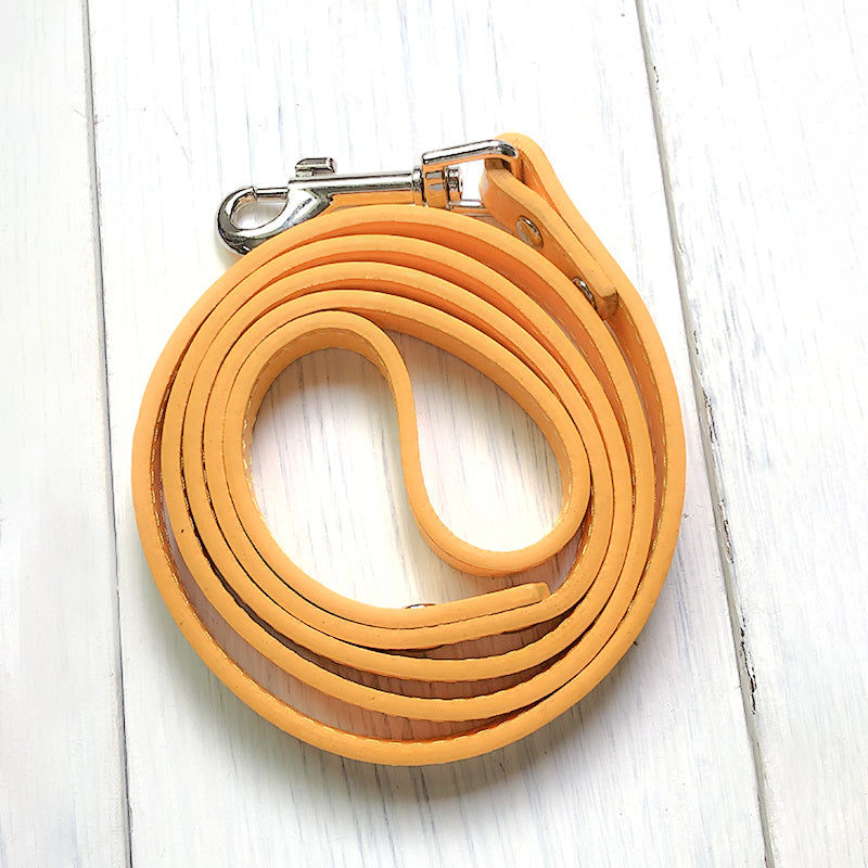 Pet Leash Collar Adjustable Walking Control Strap