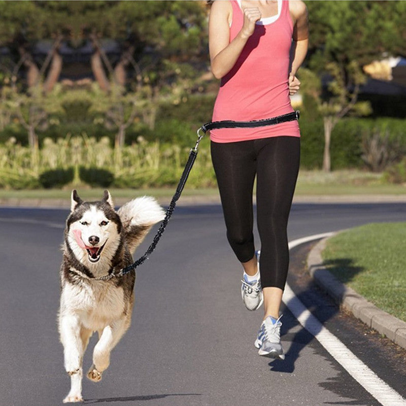 Adjustable Pet Harness And Collar With Jogging Leash