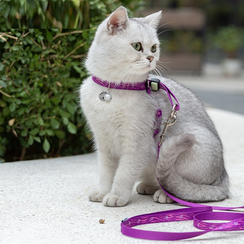 Pet Bell Chest Strap Harness Leash Vest Walking Rope