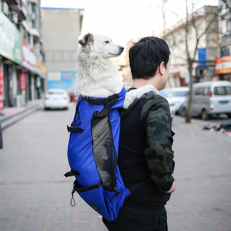 Pet Double Shoulder Travel Carrier Backpack For Pets