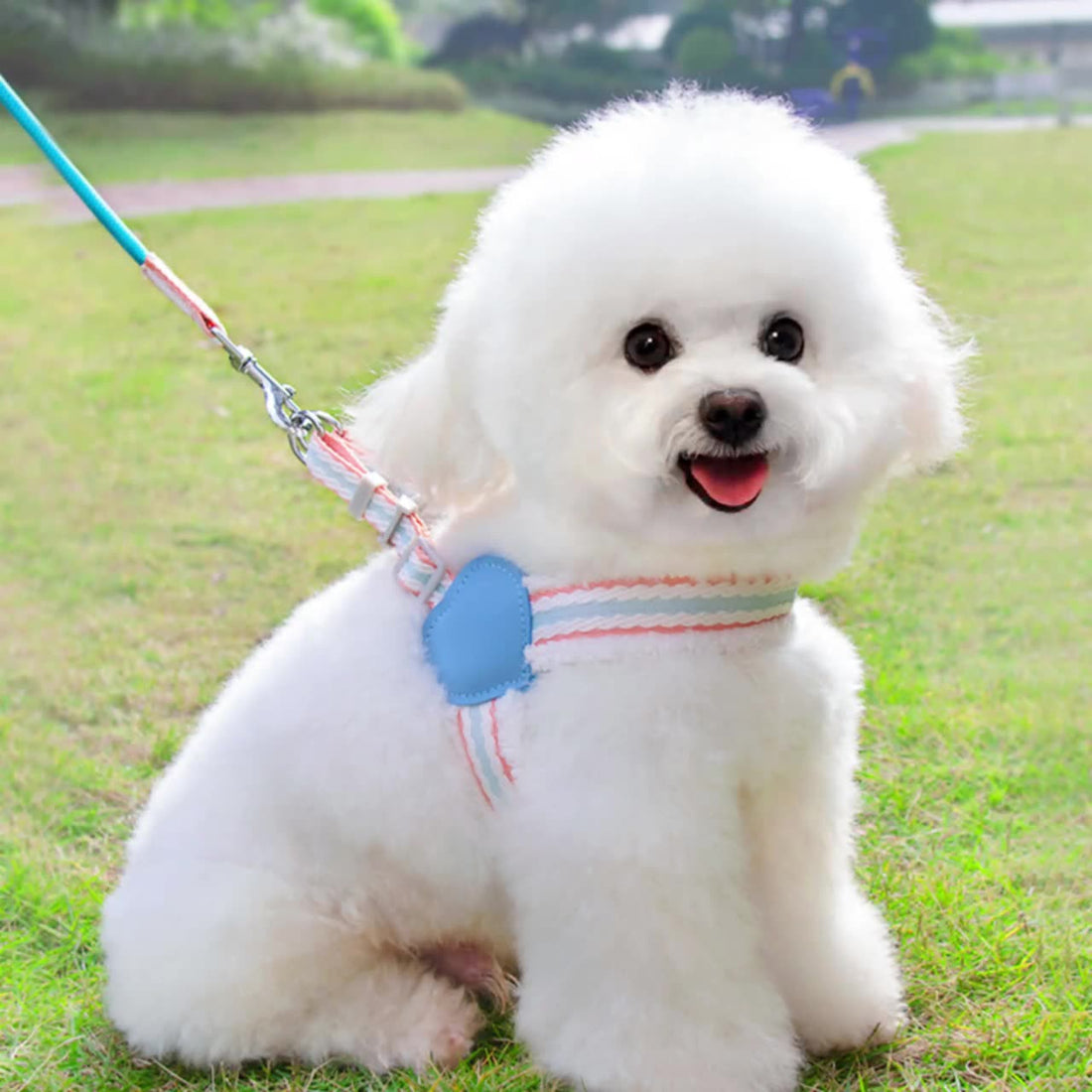 Breathable Chest Vest Pet Leash For Small And Medium Pets
