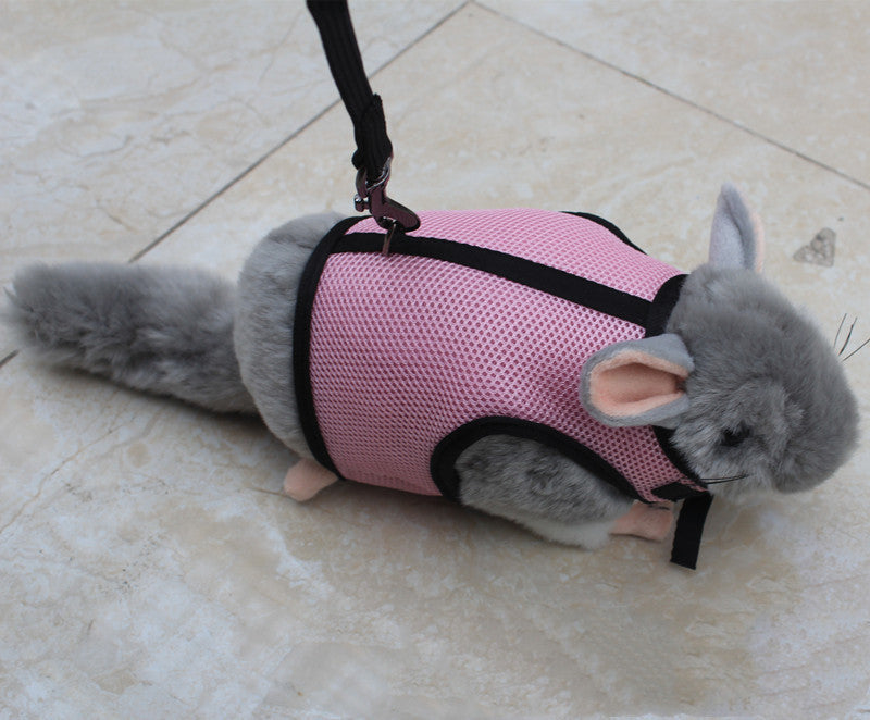 Small Pet Leash For Safe And Comfortable Walking