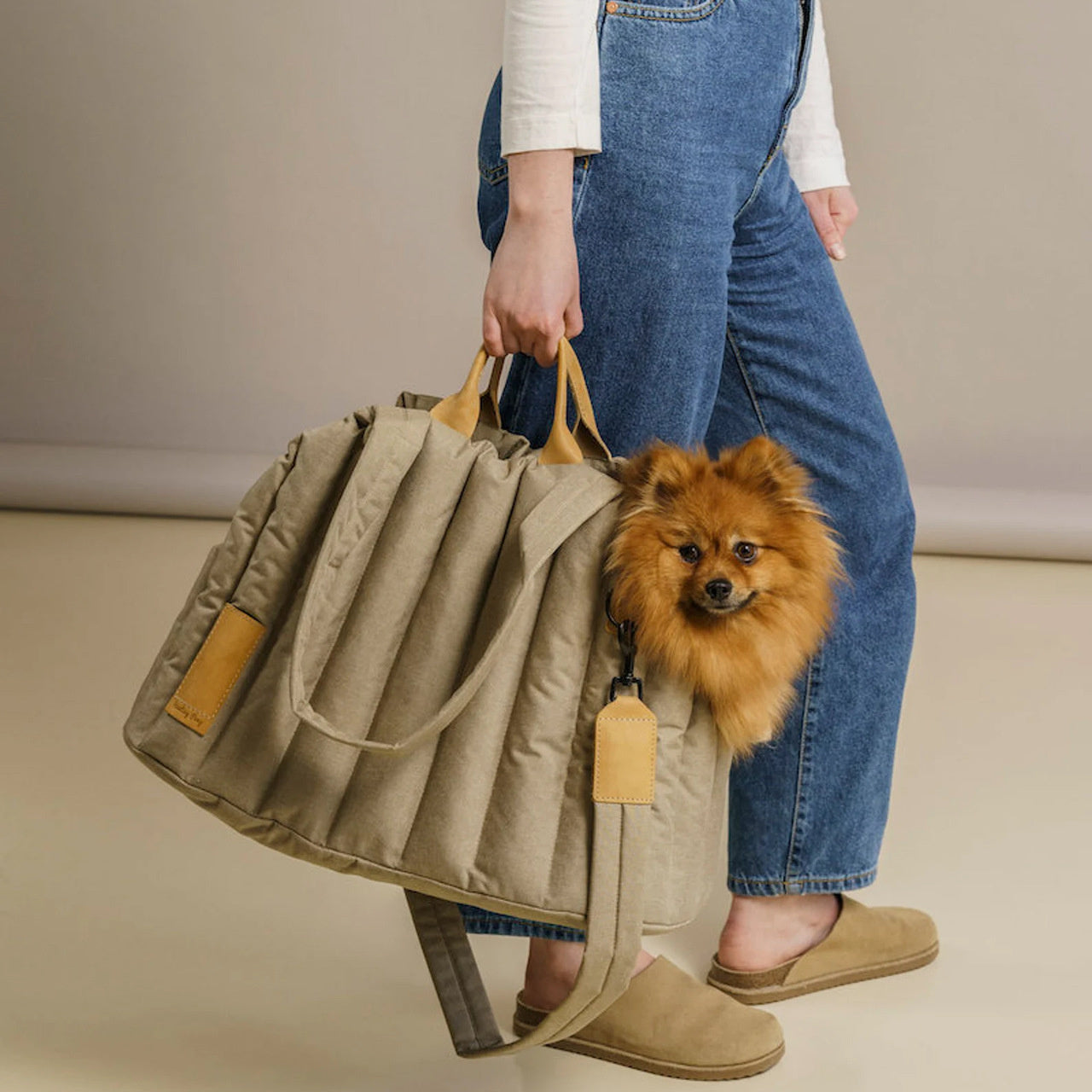 Pet Lightweight Waterproof Carrier Bag For Travel