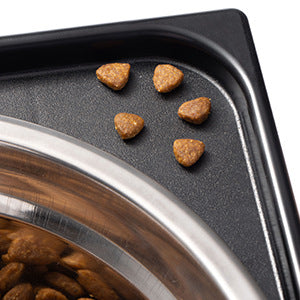 Elevated Anti Tumble Pet Feeding Bowl Neck Support Design
