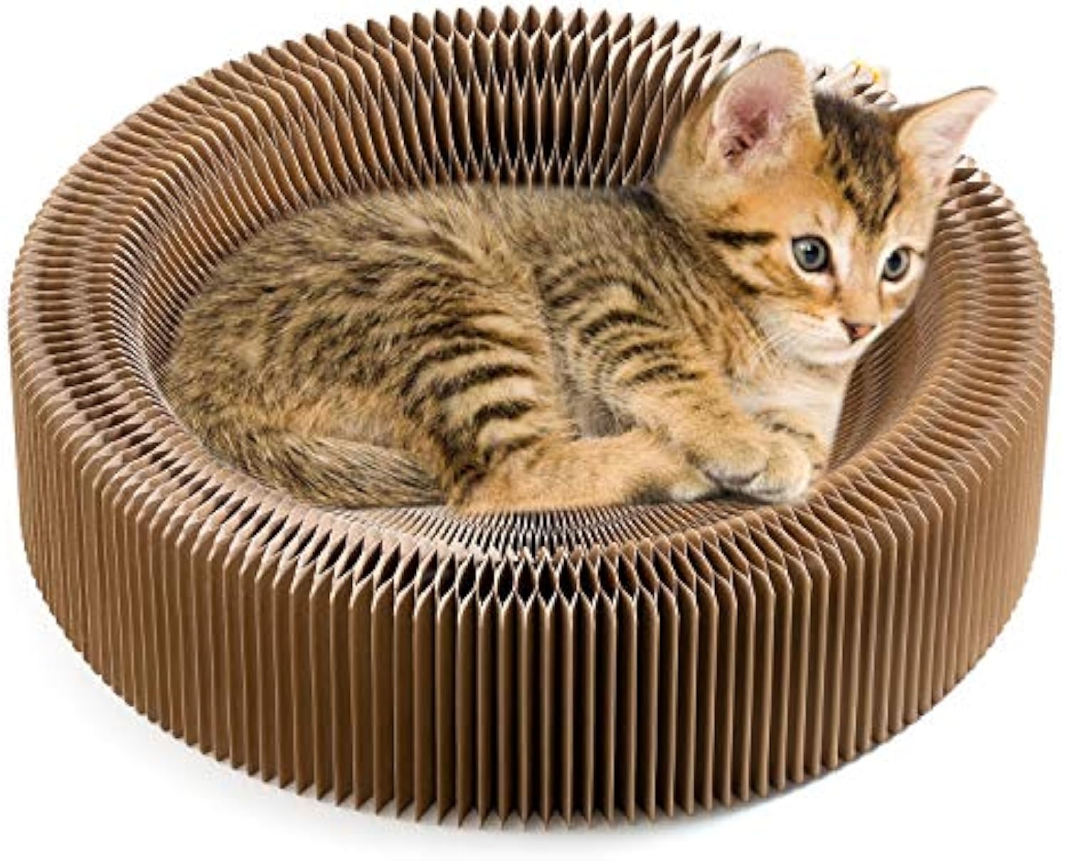 Collapsible Cardboard Scratcher Lounge Bed For Indoor Pets