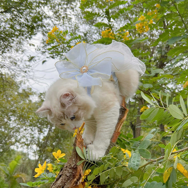 Multi-Layer Yarn Pet Leash For Small Pets