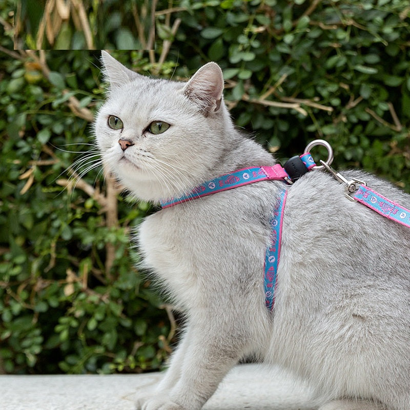 Pet Bell Chest Strap Harness Leash Vest Walking Rope