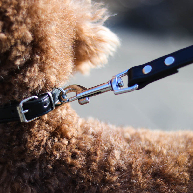 Pet Leash Collar Adjustable Walking Control Strap