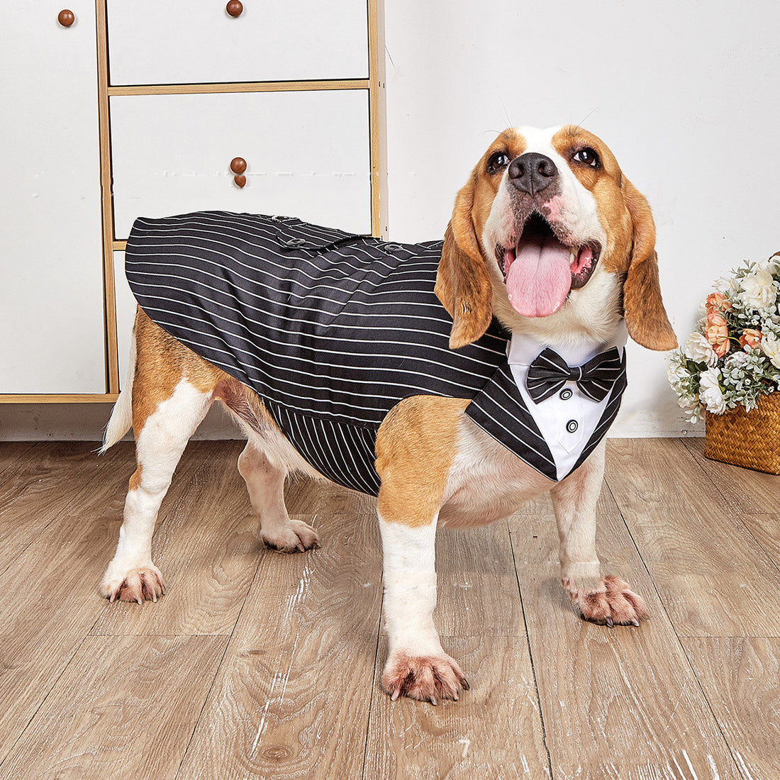 Formal Pet Wedding Suit Jacket Elegant Swallowtail Design