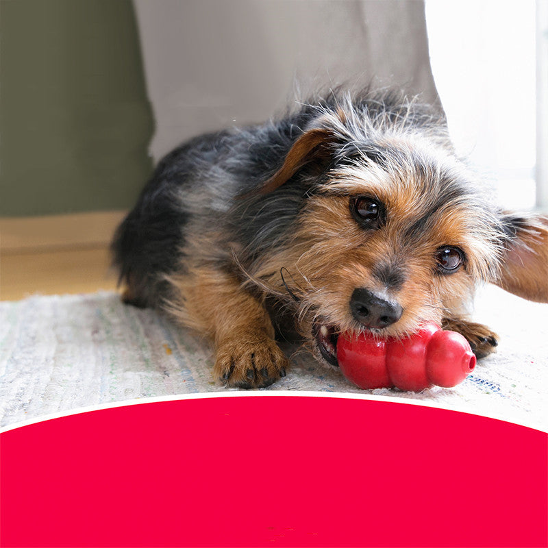 Durable Bite Resistant Rubber Grinding Chew Toy For Pets