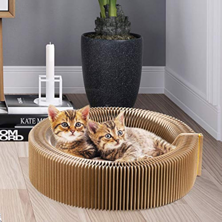 Collapsible Cardboard Scratcher Lounge Bed For Indoor Pets