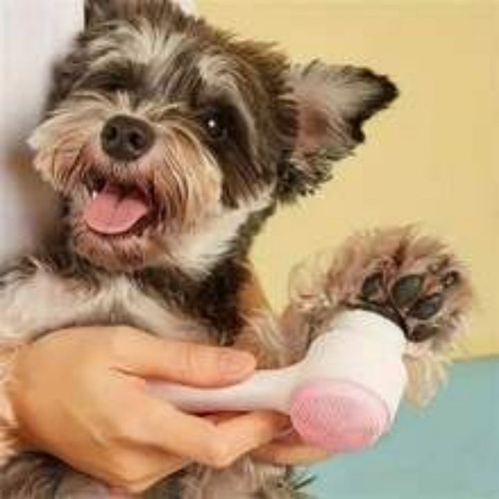 Gentle Nylon Pet Paw Brush For Cleaning And Massage