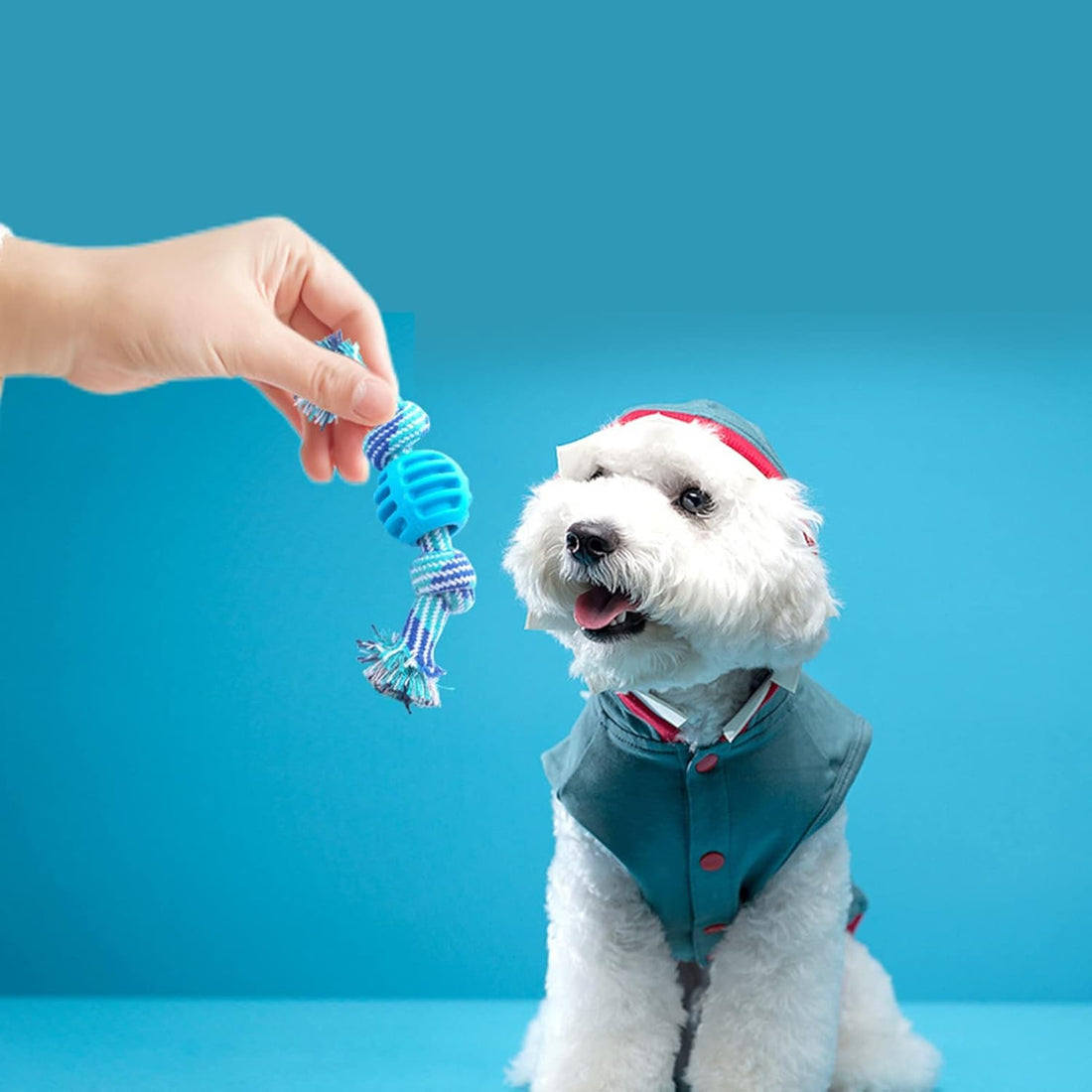 Durable Soft Rope Chew Dental Cleaning Oral Health Pet Toy Blue