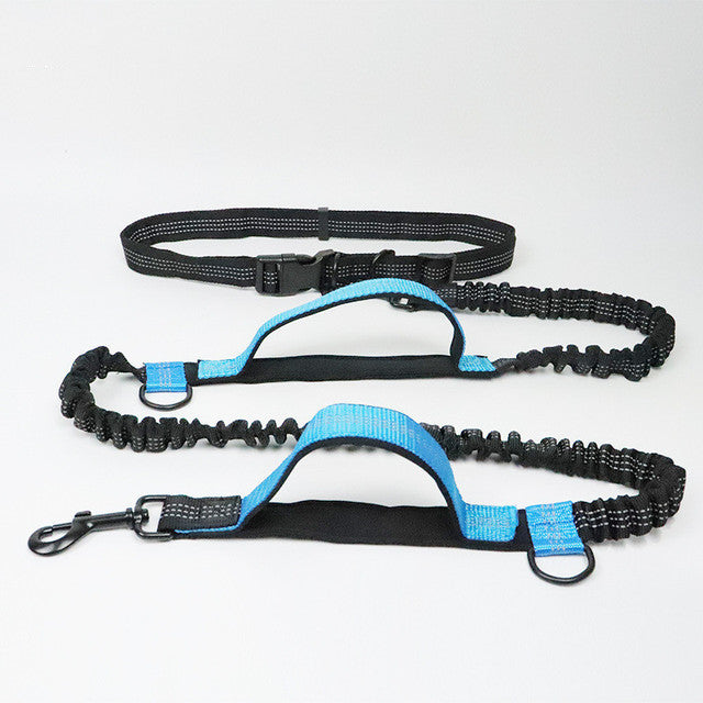 Adjustable Pet Harness And Collar With Jogging Leash