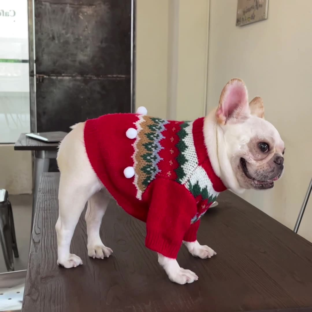Pet Christmas Sweater Festive Winter Holiday Outfit Clothing