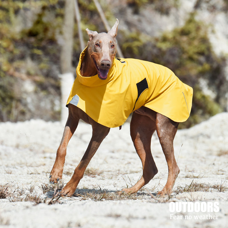 Waterproof Windproof Pet Shell Jacket For Outdoor Rain Protection Wear